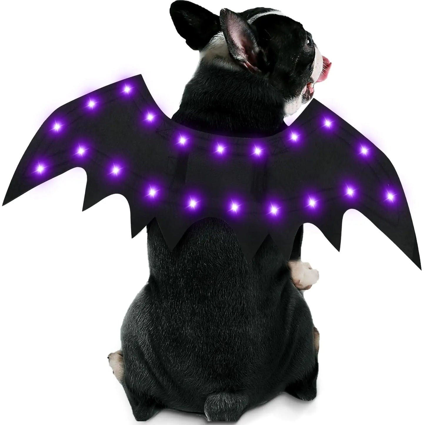 Glowing Halloween Dog Bat Wings with LED Lights – Pet Costume for Dogs & Cats