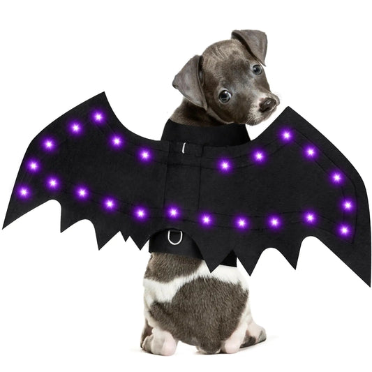 Light Up Dog Halloween Costume